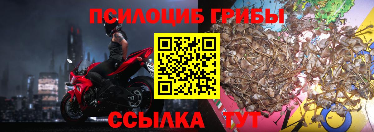 Галлюциногенные грибы GOLDEN TEACHER Кубинка