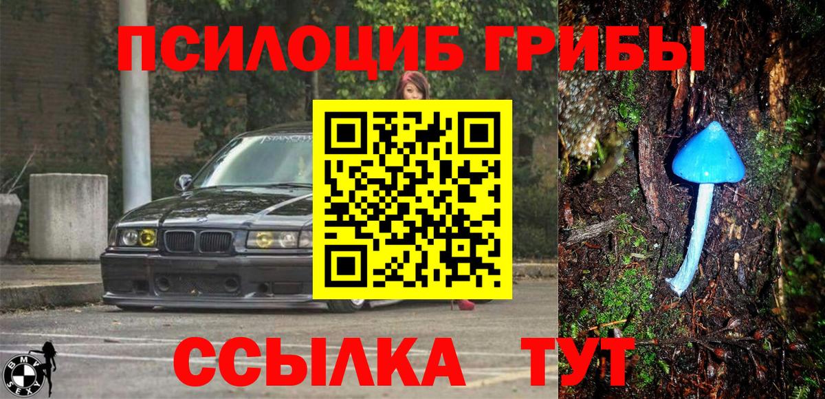 Псилоцибиновые грибы Psilocybine cubensis  Галлюциногенные грибы Psilocybe  Кубинка  Вход с VPN 